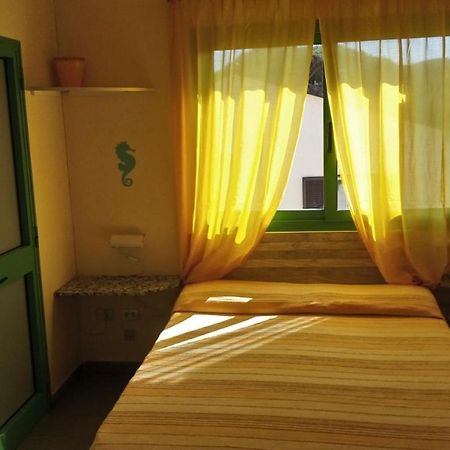Hotel Lupo Di Mare Marina di Castagneto Carducci Dış mekan fotoğraf