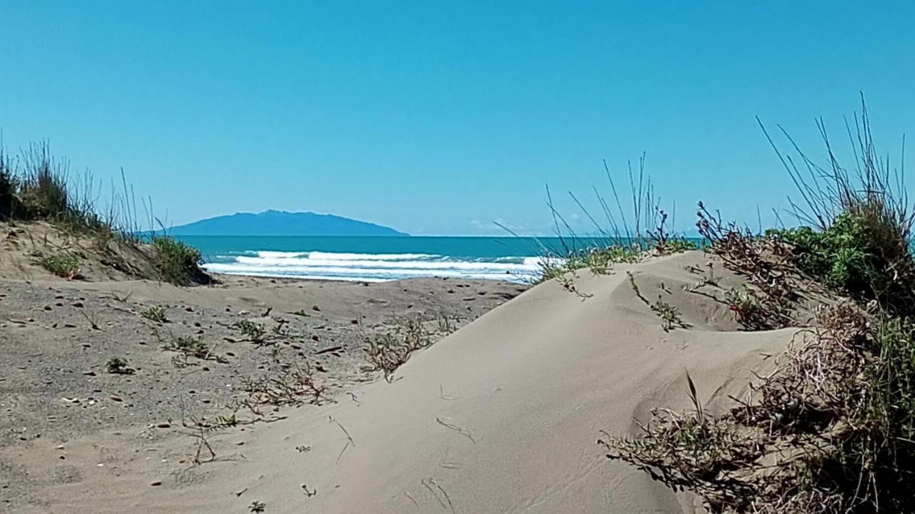 Hotel Lupo Di Mare Marina di Castagneto Carducci Dış mekan fotoğraf
