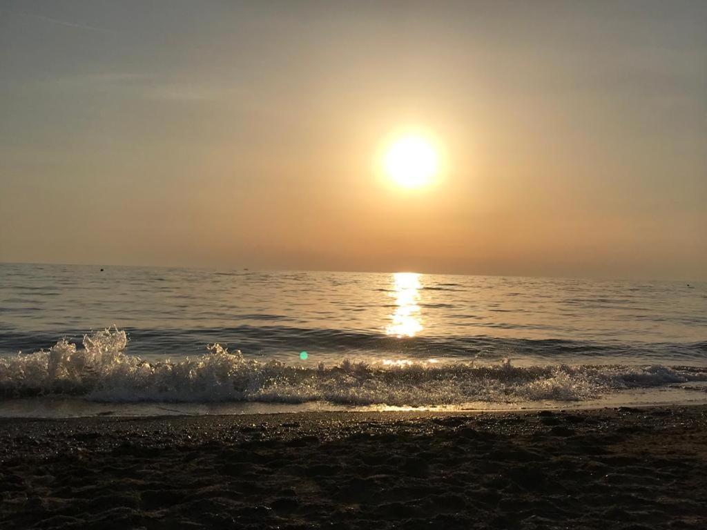 Hotel Lupo Di Mare Marina di Castagneto Carducci Dış mekan fotoğraf