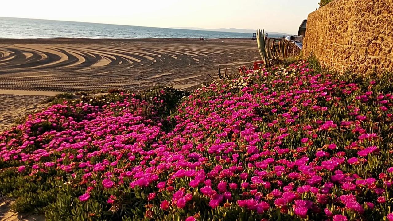 Hotel Lupo Di Mare Marina di Castagneto Carducci Dış mekan fotoğraf